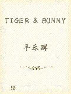 TIGER & BUNNY